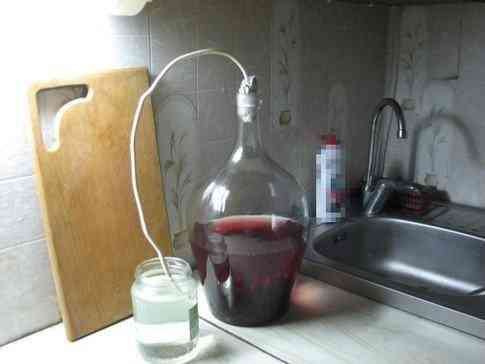  черноплодная рябина как сделать вино