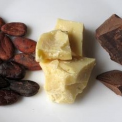 Какао-масло: его польза и рецепты шоколада и крема
